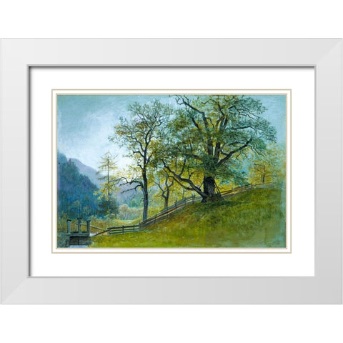 Vahrn in Tyrol near Brixen White Modern Wood Framed Art Print with Double Matting by Haseltine, William Stanley