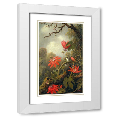 Hummingbird and Passionflowers White Modern Wood Framed Art Print with Double Matting by Heade, Martin Johnson