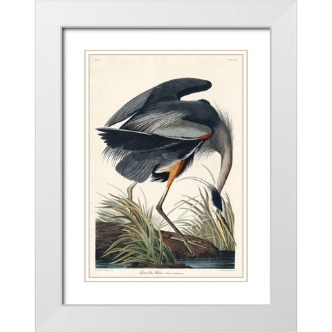 Great blue Heron White Modern Wood Framed Art Print with Double Matting by Audubon, John James
