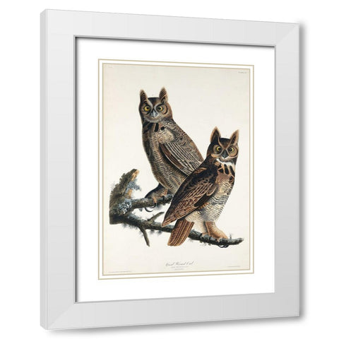 Great Horned Owl White Modern Wood Framed Art Print with Double Matting by Audubon, John James