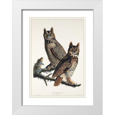 Great Horned Owl White Modern Wood Framed Art Print with Double Matting by Audubon, John James