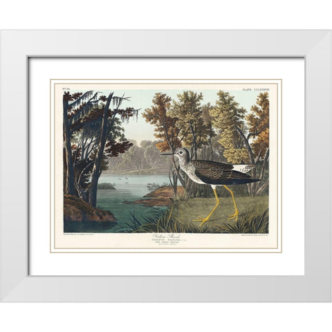 Yellow Shank White Modern Wood Framed Art Print with Double Matting by Audubon, John James
