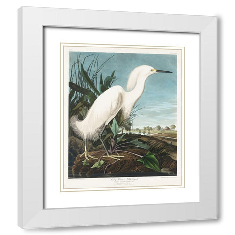 Snowy Heron, or White Egret White Modern Wood Framed Art Print with Double Matting by Audubon, John James