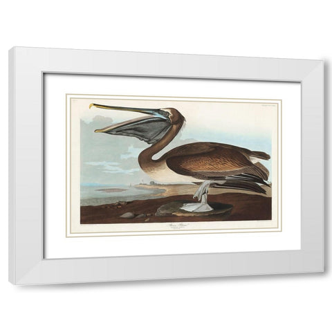 Brown Pelican White Modern Wood Framed Art Print with Double Matting by Audubon, John James