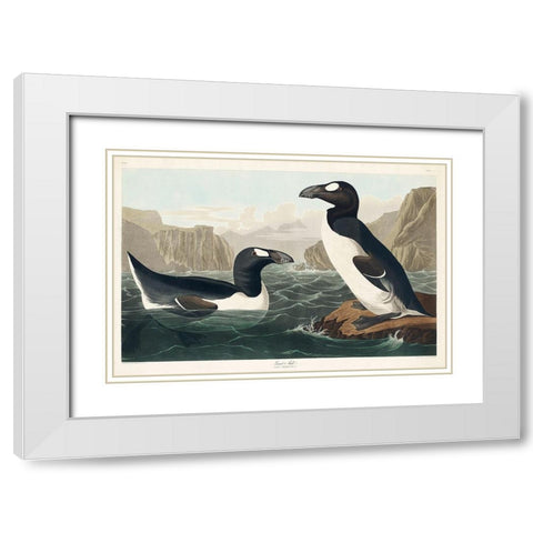 Great Auk White Modern Wood Framed Art Print with Double Matting by Audubon, John James