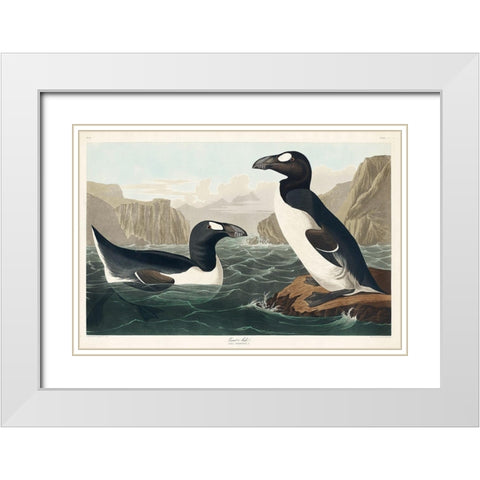 Great Auk White Modern Wood Framed Art Print with Double Matting by Audubon, John James