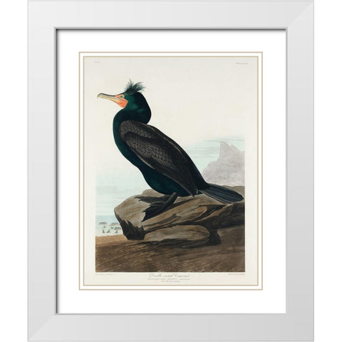 Double-crested Cormorant White Modern Wood Framed Art Print with Double Matting by Audubon, John James