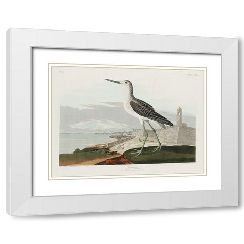 Greenshank White Modern Wood Framed Art Print with Double Matting by Audubon, John James