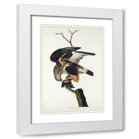 Rough-legged Falcon White Modern Wood Framed Art Print with Double Matting by Audubon, John James