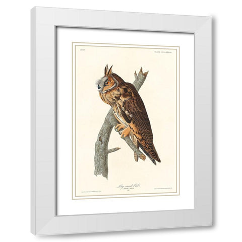 Long-eared Owl White Modern Wood Framed Art Print with Double Matting by Audubon, John James