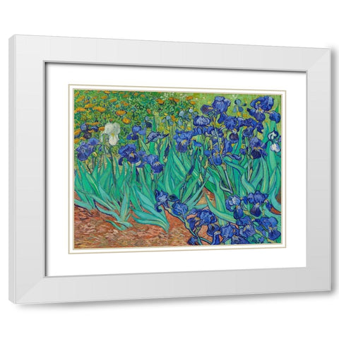 Irises (1889) White Modern Wood Framed Art Print with Double Matting by Van Gogh, Vincent