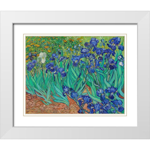 Irises (1889) White Modern Wood Framed Art Print with Double Matting by Van Gogh, Vincent