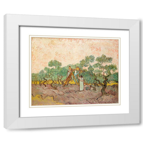 Women Picking Olives (1889) White Modern Wood Framed Art Print with Double Matting by Van Gogh, Vincent