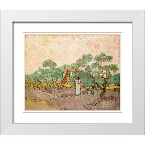 Women Picking Olives (1889) White Modern Wood Framed Art Print with Double Matting by Van Gogh, Vincent