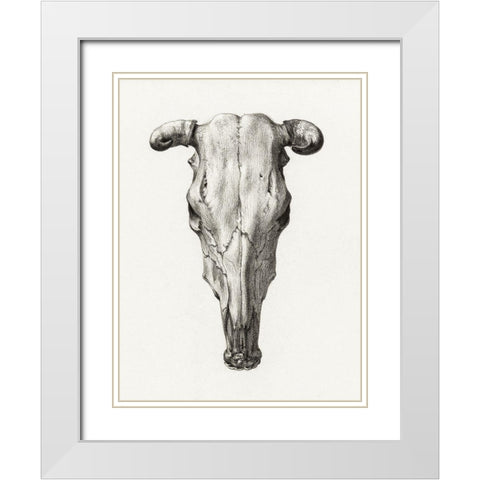 Skull of a cow White Modern Wood Framed Art Print with Double Matting by Bernard, Jean