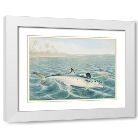 Red Drum White Modern Wood Framed Art Print with Double Matting by Kilbourne, Samuel