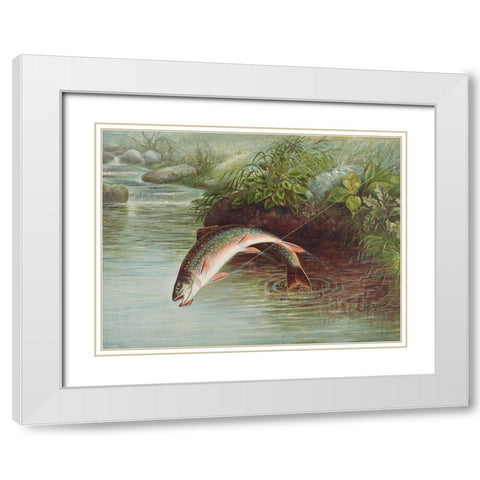 Leaping Brook Trout White Modern Wood Framed Art Print with Double Matting by Kilbourne, Samuel