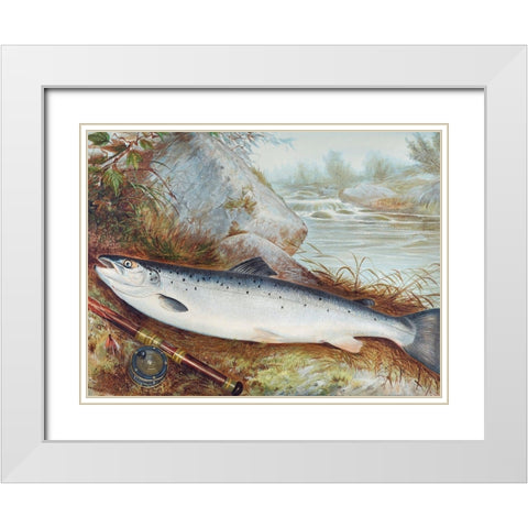 Trout White Modern Wood Framed Art Print with Double Matting by Kilbourne, Samuel