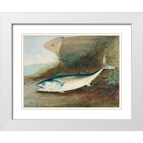 Mackerel White Modern Wood Framed Art Print with Double Matting by Kilbourne, Samuel