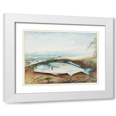 Sprat White Modern Wood Framed Art Print with Double Matting by Kilbourne, Samuel
