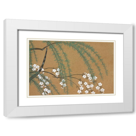 Blossoms from Momoyogusa White Modern Wood Framed Art Print with Double Matting by Sekka, Kamisaka