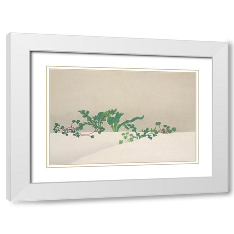 Green plants from Momoyogusa White Modern Wood Framed Art Print with Double Matting by Sekka, Kamisaka