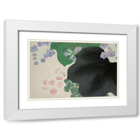Flowers and leaves from Momoyogusa White Modern Wood Framed Art Print with Double Matting by Sekka, Kamisaka