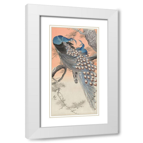 Two peacocks on tree branch White Modern Wood Framed Art Print with Double Matting by Koson, Ohara