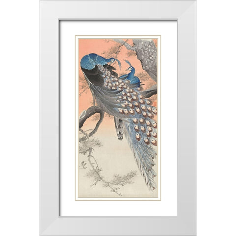 Two peacocks on tree branch White Modern Wood Framed Art Print with Double Matting by Koson, Ohara
