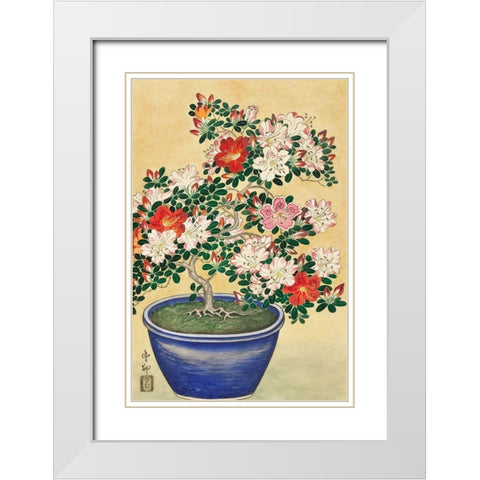 Blooming azalea in blue pot White Modern Wood Framed Art Print with Double Matting by Koson, Ohara