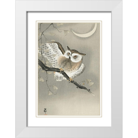 Long-eared owl in ginkgo White Modern Wood Framed Art Print with Double Matting by Koson, Ohara