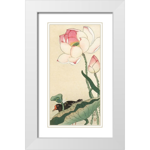 Gallinule with Lotus Flowers White Modern Wood Framed Art Print with Double Matting by Koson, Ohara