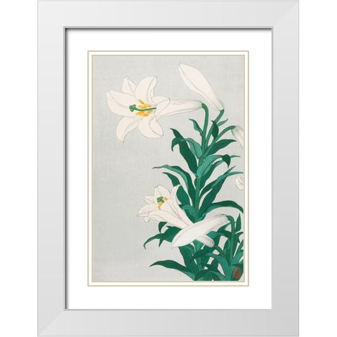 Lilies, Ohara White Modern Wood Framed Art Print with Double Matting by Koson, Ohara