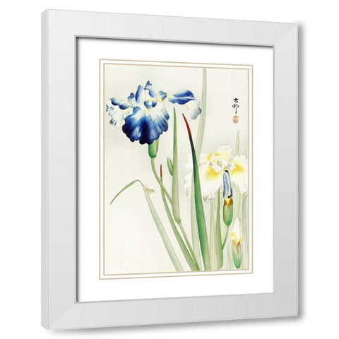 Irises White Modern Wood Framed Art Print with Double Matting by Koson, Ohara