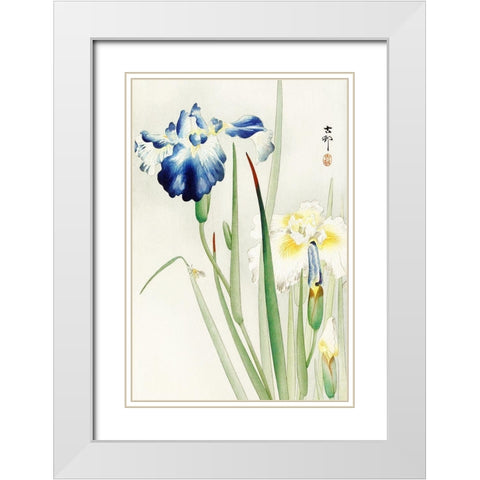 Irises White Modern Wood Framed Art Print with Double Matting by Koson, Ohara
