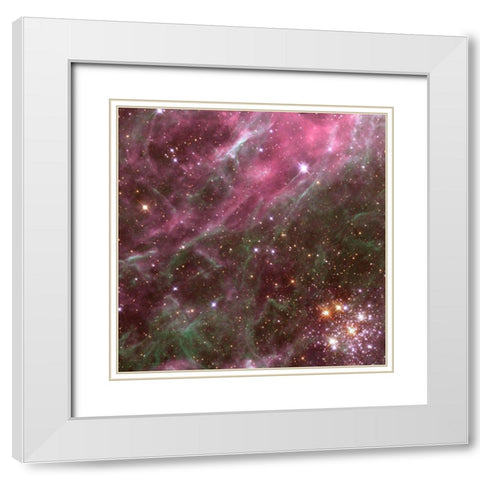 Tarantula Nebula White Modern Wood Framed Art Print with Double Matting by NASA