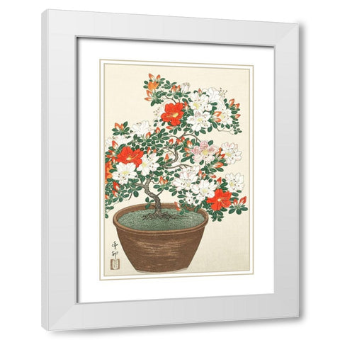 Blooming azalea in brown pot White Modern Wood Framed Art Print with Double Matting by Koson, Ohara