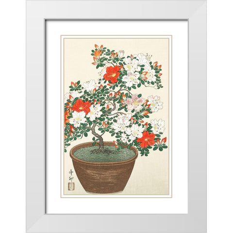 Blooming azalea in brown pot White Modern Wood Framed Art Print with Double Matting by Koson, Ohara