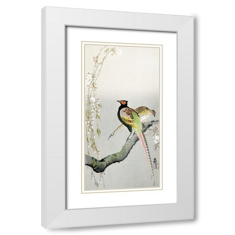 Couple pheasants and cherry blossom White Modern Wood Framed Art Print with Double Matting by Koson, Ohara