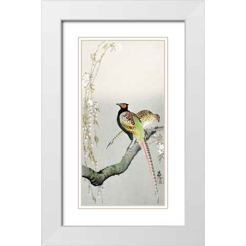 Couple pheasants and cherry blossom White Modern Wood Framed Art Print with Double Matting by Koson, Ohara