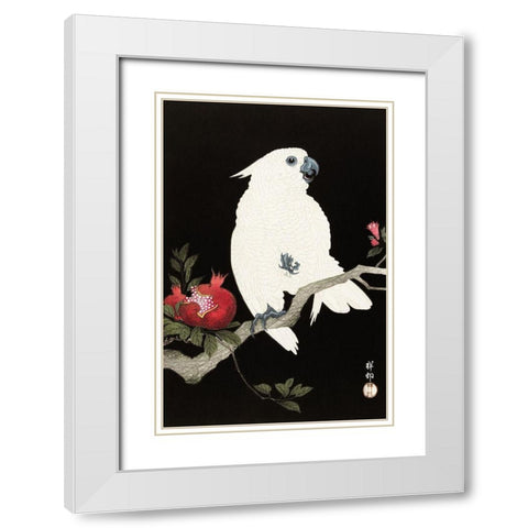 Cockatoo and pomegranate White Modern Wood Framed Art Print with Double Matting by Koson, Ohara