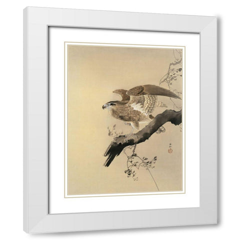 Hawk White Modern Wood Framed Art Print with Double Matting by Koson, Ohara