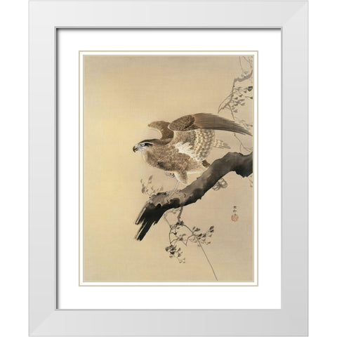 Hawk White Modern Wood Framed Art Print with Double Matting by Koson, Ohara