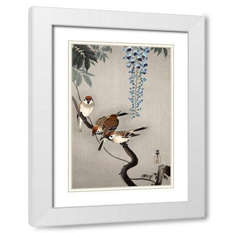 Ring sparrows at wisteria White Modern Wood Framed Art Print with Double Matting by Koson, Ohara