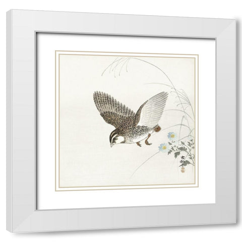 Flying quail White Modern Wood Framed Art Print with Double Matting by Koson, Ohara