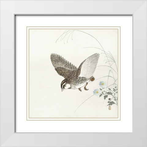Flying quail White Modern Wood Framed Art Print with Double Matting by Koson, Ohara