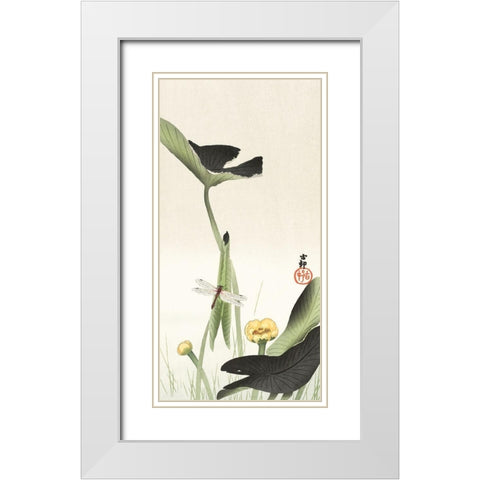 Libelle and lotus White Modern Wood Framed Art Print with Double Matting by Koson, Ohara