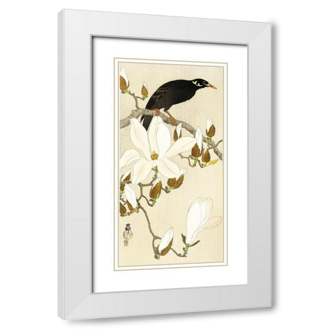 Myna on Magnolia Branch White Modern Wood Framed Art Print with Double Matting by Koson, Ohara