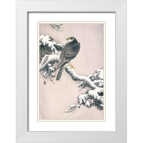 Goshawk on Snow-covered Pine Bough White Modern Wood Framed Art Print with Double Matting by Koson, Ohara