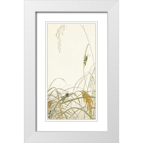 Grasshoppers on rice plants White Modern Wood Framed Art Print with Double Matting by Koson, Ohara